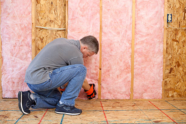 Best Insulation Repair Services  in Oak Hills, PA