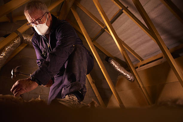 Best Home Insulation Services  in Oak Hills, PA
